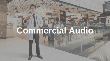 Commercial Audio, TOA
